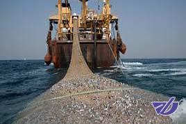 ماهی‌گیران چینی و داستان جدید در آب‌های ایران+ توضیحات سازمان بنادر