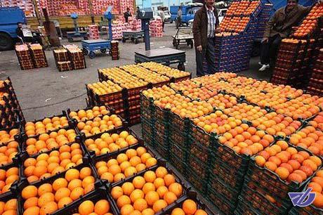 میوه یک‌ساله ۶۷ درصد جهش کرد