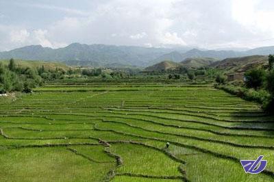 توصیه‌های هواشناسی کشاورزی برای روزهای ابتدایی آبان