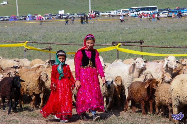 عشایر نگران تامین نهادههای دامی نباشند