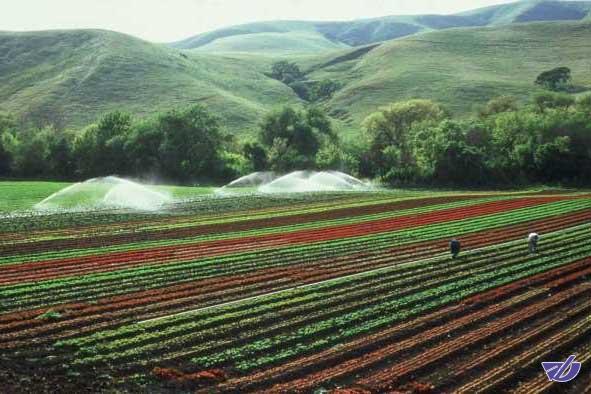 توصیه‌های سه روزه هواشناسی کشاورزی