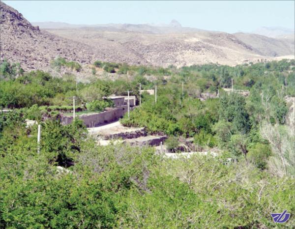 رشد ۴.۷ درصدی سهم بخش خدمات در روستاها