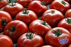 دلیل گرانی گوجه فرنگی/گران‌فروشی سیب‌زمینی و پیاز تخلف است