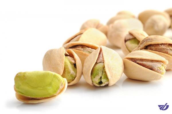 طلای سبز ایران گرفتار آفت «پسیل»