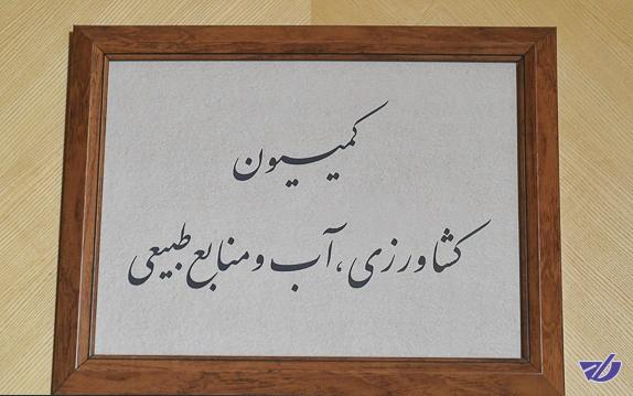 انتخاب اعضای کمیسیون تلفیق در کمیسیون کشاورزی به هفته آینده موکول شد