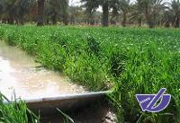 ریشه‌یابی اختلاف نظر دو وزارتخانه بر سر آب