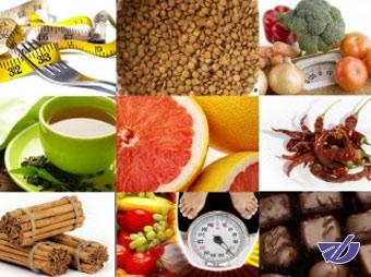 استراتژی ایران در صادرات مواد غذایی؛ پول کمتر بده محصول بیشتر ببر!