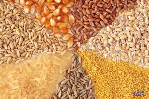 واردکنندگان هیچ نقشی در توزیع نهاده های دامی ندارند