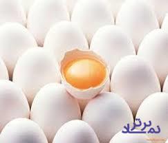 کاهش قیمت تخم مرغ و کره در گرو تخصیص ارز به نهاده‌های دامی است