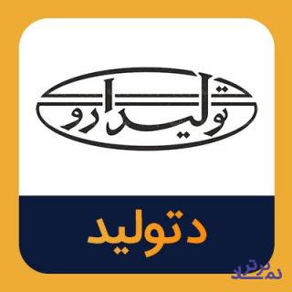 رشد 61 درصدی فروش «دتولید»