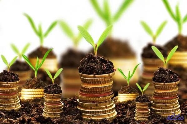 همایش بین المللی تامین مالی برگزار می شود