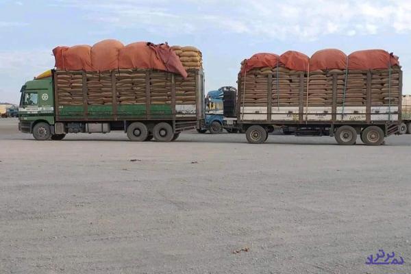 میوه ارزان می شود؛ شاید!