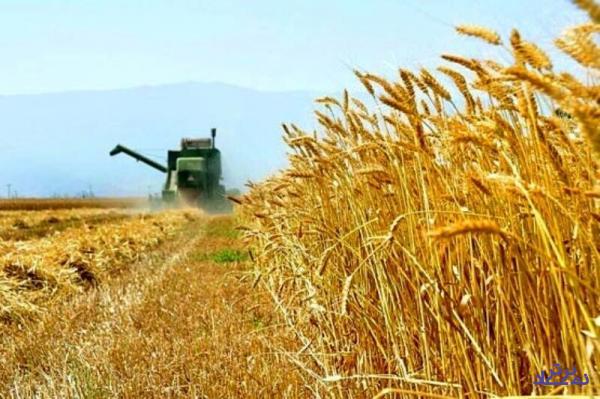 صادرات 6 میلیاردی این صنعت در سال 99
