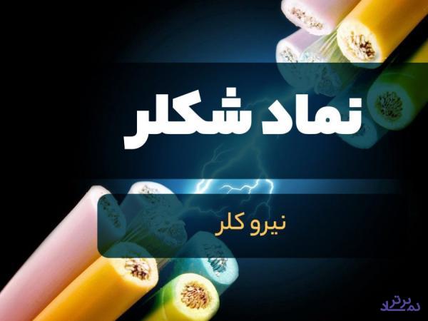 سود «شکلر» در حال افزایش روزانه!