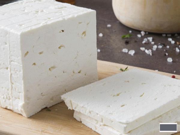 رشد 99 درصدی درآمدهای «غگلپا» به چه قیمتی!