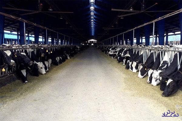 "زشریف" هیات مدیره جدید انتخاب کرد