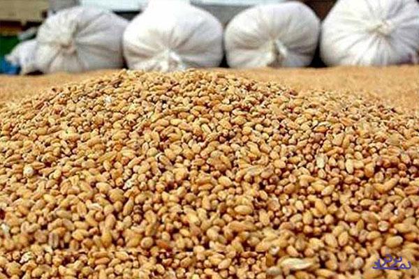 کاهش فروش "غدام" در تیرماه سال جاری