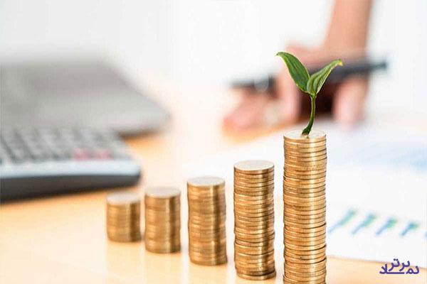 رشد ۲۱۶ درصدی پورتفوی بورسی "پردیس"
