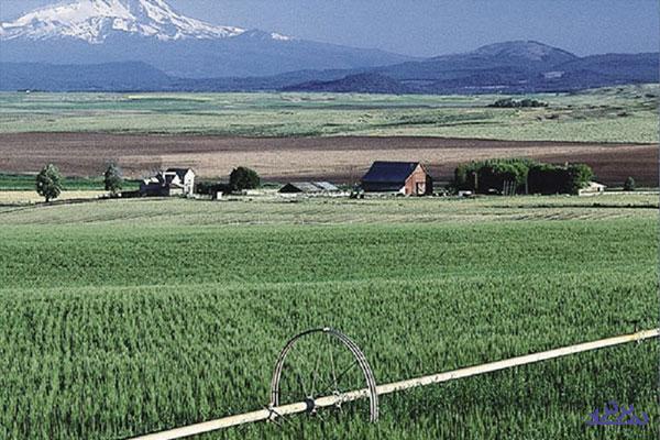 افزایش‌سرمایه ۳۲۹ درصدی از سودانباشته "زپارس"