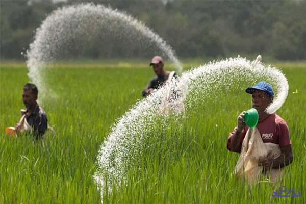 اوره ایران از یونان تا آمریکای لاتین