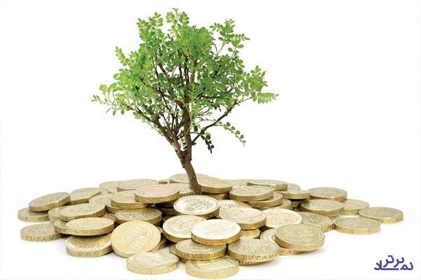 نوپاهایی که با سرمایه‌گذاری جسورانه جان می‌گیرند