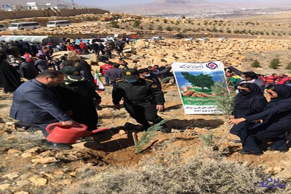 همراهی پرسنل بانک ایران زمین، در مراسم درختکاری