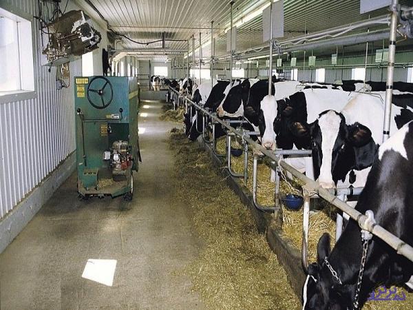 سهامداران "زقیام" درجریان باشند