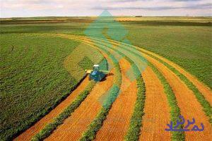 هیات مدیره "زکشت" تغییر کرد