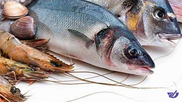 آبزیان 475 میلیون دلار برای کشور صید کردند