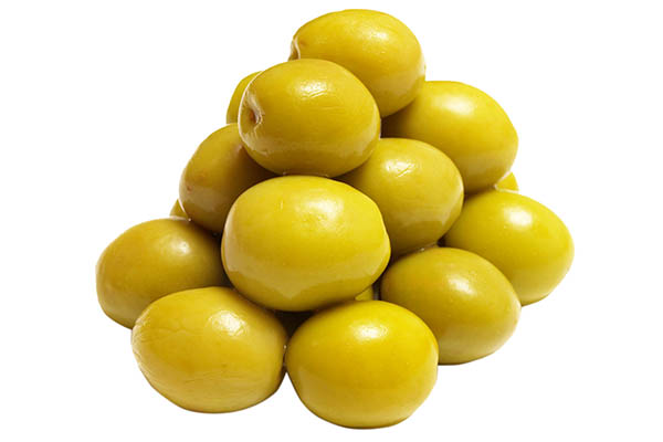 دستیابی به دانش فنی تولید مغزی زیتون