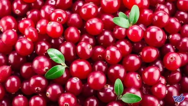 پاشنه آشیل آمریکاییها در جنگ تجاری با رقبا