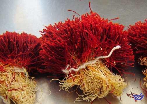 افزایش صادرات فله‌ای زعفران به کام رقبا