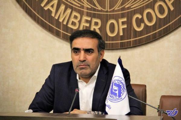استفاده از ظرفیتهای بخش تعاون در تعاملات بینالمللی