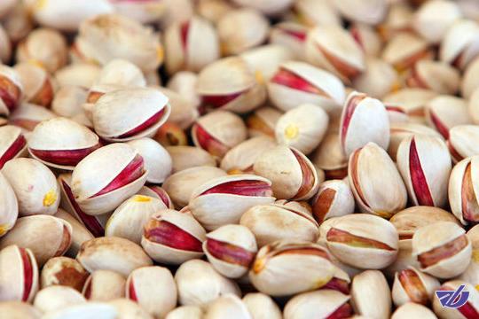 صادرات پسته ۴۵ درصد افت کرد!