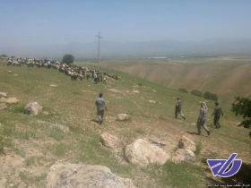 باجگیری مرتعداران از عشایر سمنان