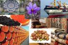 دستور حجتی برای حمایت از صادرات ۵ محصول کشاورزی