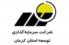 رشد ۴۲۸میلیارد ریالی پرتفوی «کرمان» در ۶ماه
