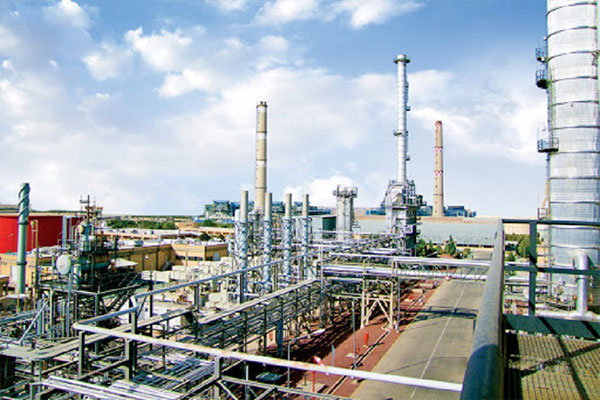 روند رو به رشد درآمدهای "شیران"