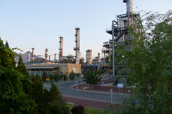 صادرات شیران، سهامداران را شیرین‌کام کرد