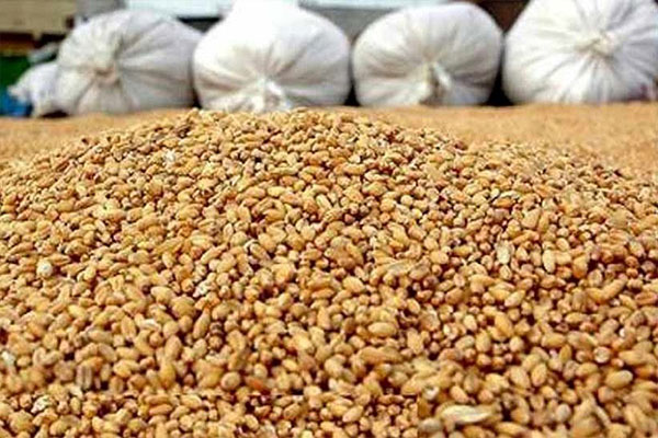 کاهش فروش "غدام" در تیرماه سال جاری