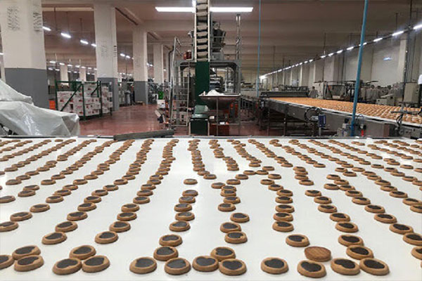 سقوط آزاد سود خالص "ویتانا" در ۶ماهه