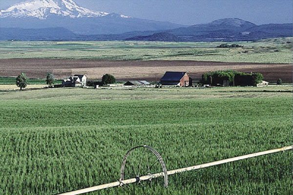 افزایش‌سرمایه ۳۲۹ درصدی از سودانباشته "زپارس"