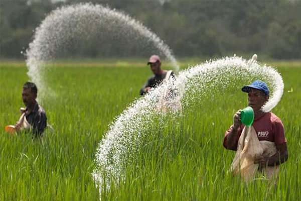 اوره ایران از یونان تا آمریکای لاتین
