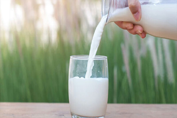 " غگیلا " به ثبت افزایش رسید