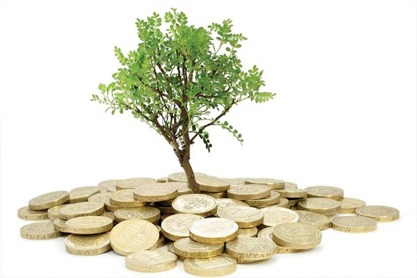 نوپاهایی که با سرمایه‌گذاری جسورانه جان می‌گیرند