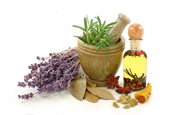 پرداخت سود " دریشمک " از دومین ماه پاییز