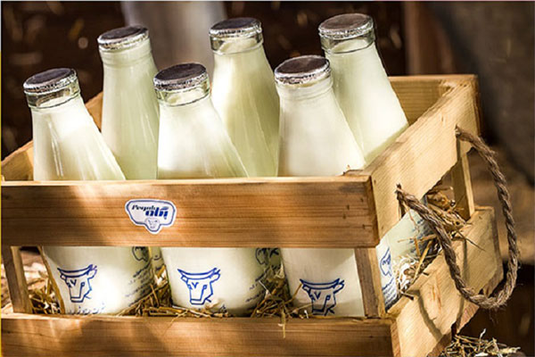 سنگینی سبد فروش "غگیلا" با «شیر»