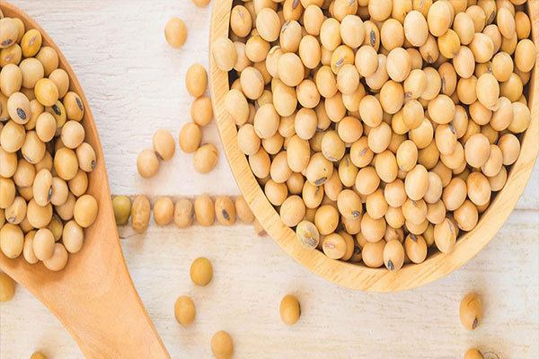 پرداخت سود " بهپاک " از ماه جاری