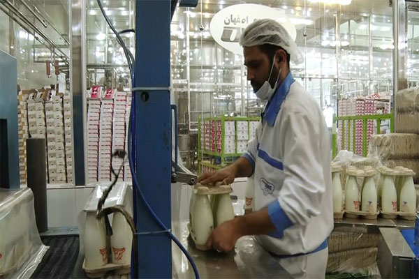 «شیر» و «پنیر» ترین‌های "غشصفا" شدند